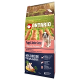 Ontario Dog Puppy & Junior Large Chicken & Potatoes -12